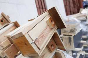 Fot. Bogusław Świerzowski / krakow.pl