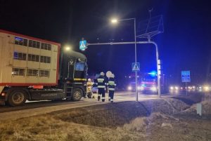 Fot. Facebook/ OSP Mucharz