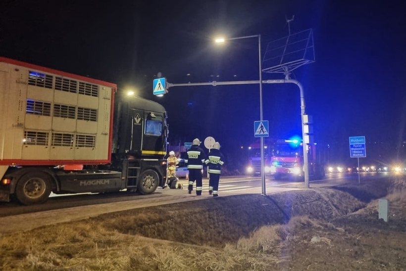 Fot. Facebook/ OSP Mucharz