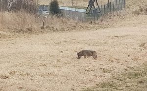 Fot. Urząd Gminy w Tomicach