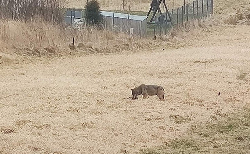 Fot. Urząd Gminy w Tomicach