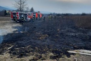 Fot. Facebook/ OSP Stronie