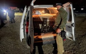 Fot. KTOZ/Pomagam.pl