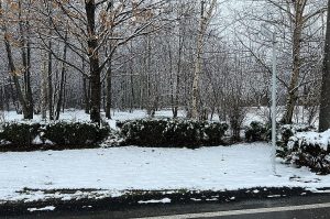 Fot. Marcin Płaszczyca