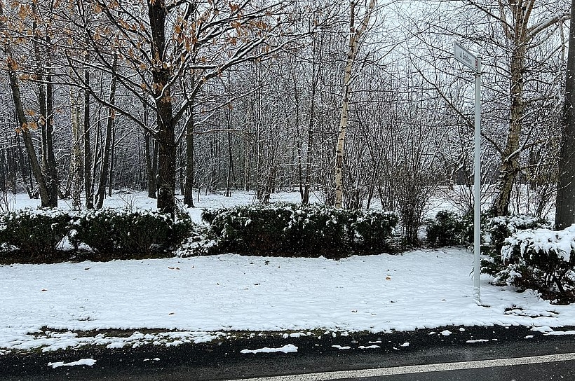 Fot. Marcin Płaszczyca