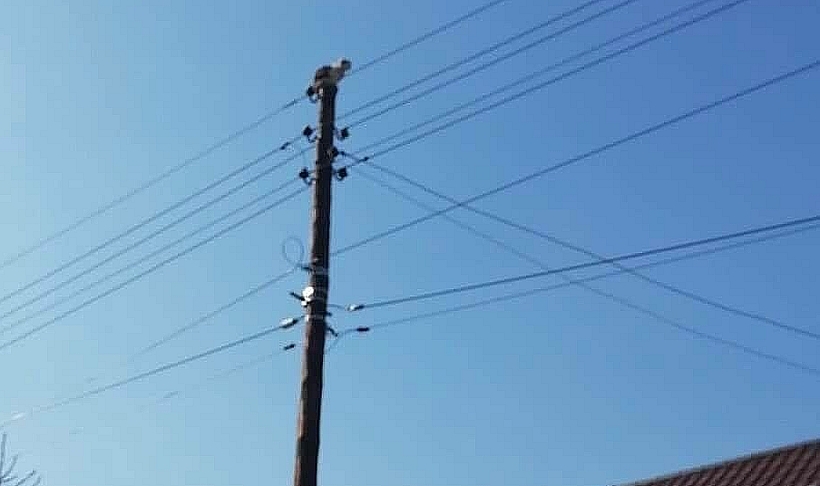 Fot. facebook.com/112Wadowice.pl