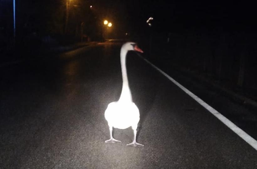 Fot. Facebook/ Mateusz Wełna-Kozioł