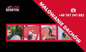 Fot. materiał prasowy reklamodawcy