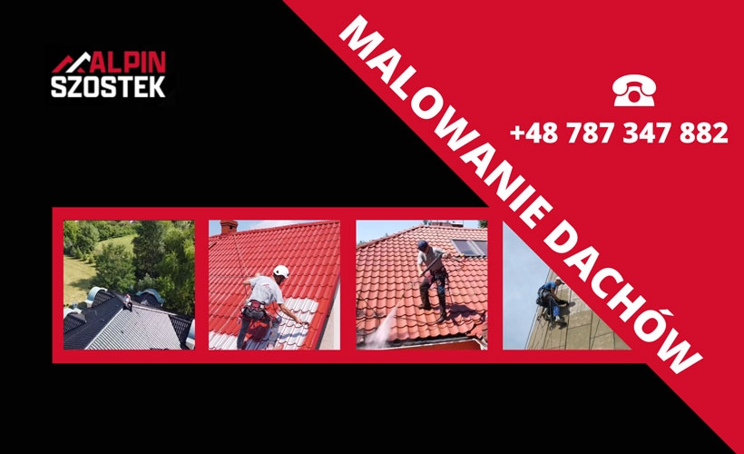 Fot. materiał prasowy reklamodawcy