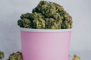 Fot. materiał prasowy reklamodawcy