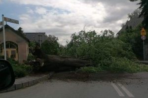 Fot. Facebook/ Patrole, Wypadki, Suszarki