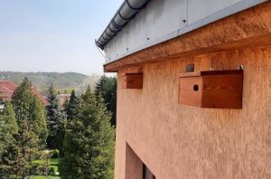 Fot. UM Kalwaria Zebrzydowska