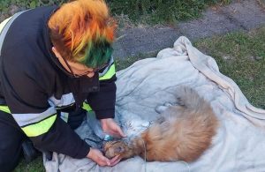 Fot. Facebook/ OSP Tomice