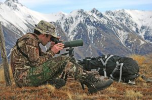 Lakeview Images / Shutterstock.com