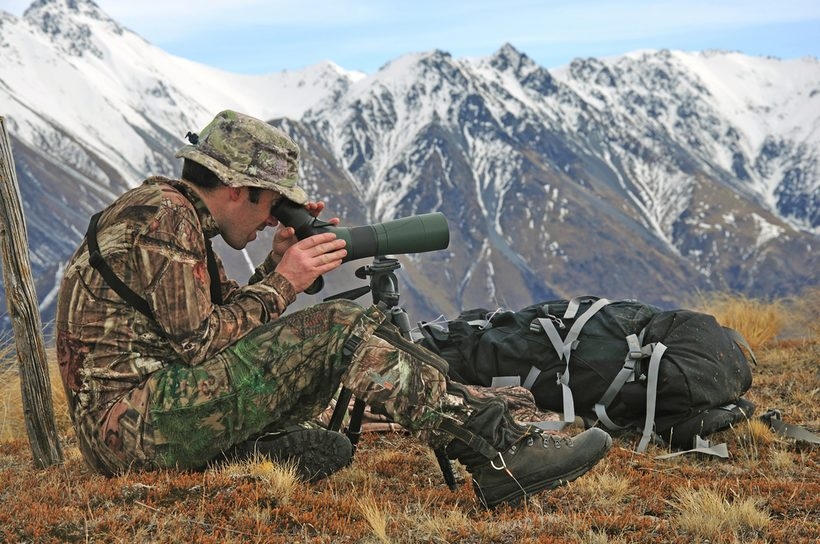 Lakeview Images / Shutterstock.com