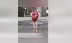 Fot. kadr z filmu na facebook/ Psy Dają Głos