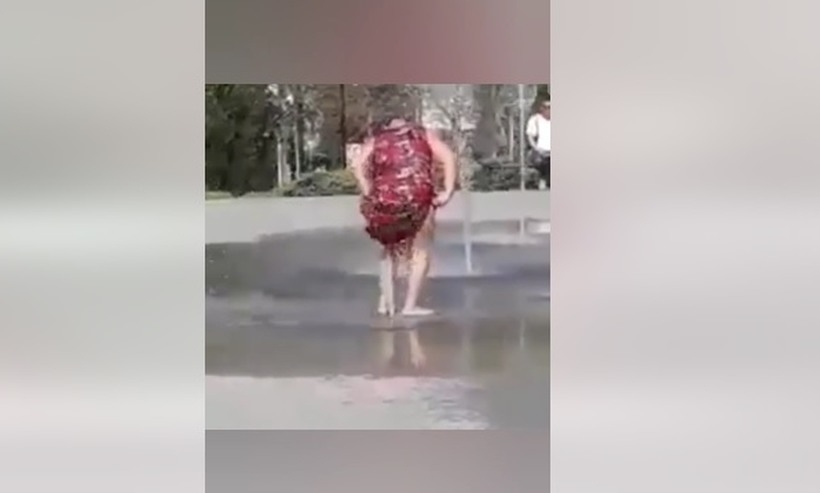 Fot. kadr z filmu na facebook/ Psy Dają Głos