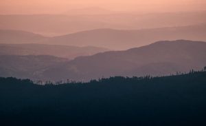 Fot. materiał promocyjny reklamodawcy