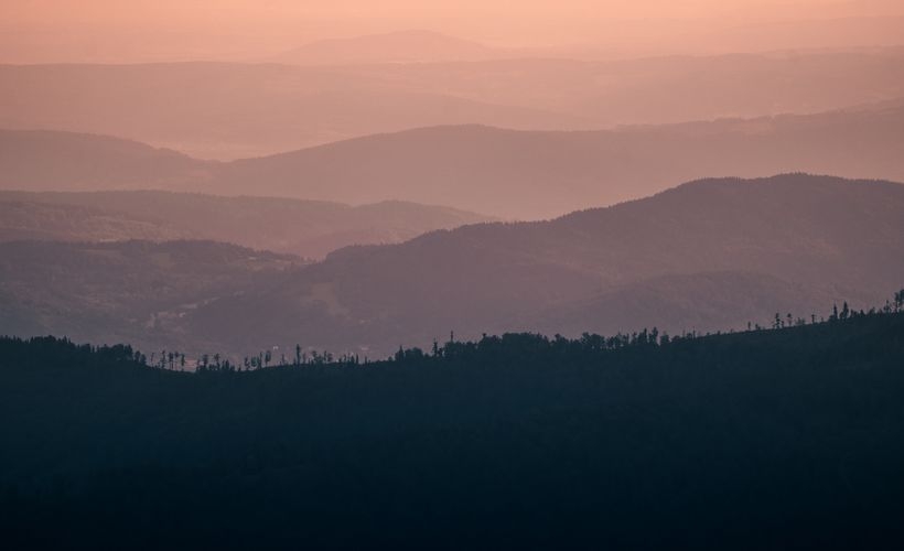 Fot. materiał promocyjny reklamodawcy