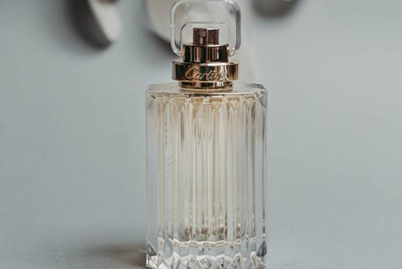 Fot. materiał promocyjny reklamodawcy