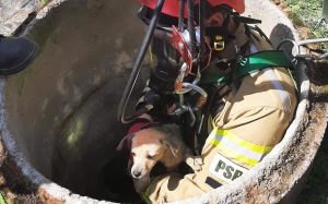 Fot. 112wadowice.pl/facebook.pl