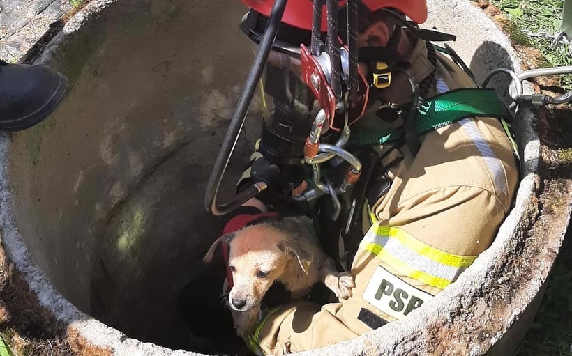 Fot. 112wadowice.pl/facebook.pl