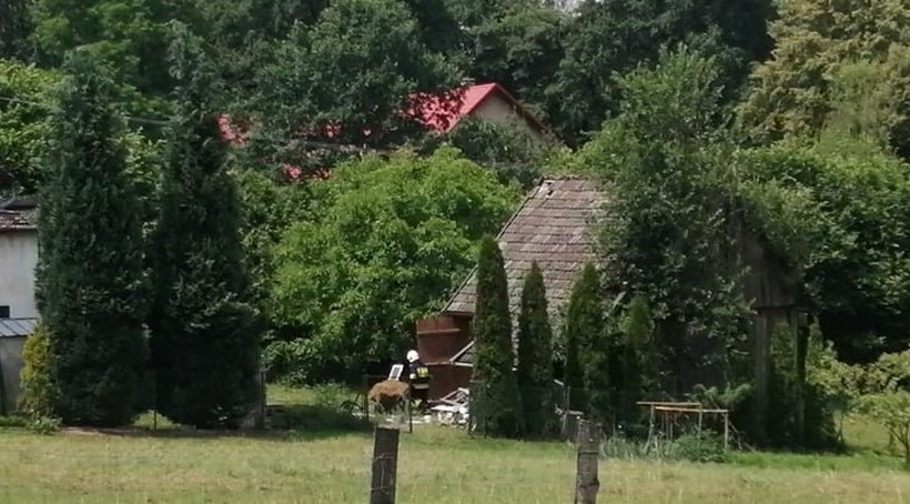 Fot. Patryk Knapczyk