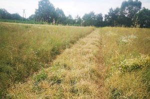 Fot. Facebook/podolsze.pl