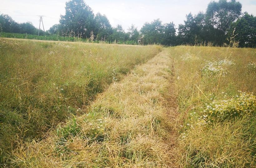 Fot. Facebook/podolsze.pl