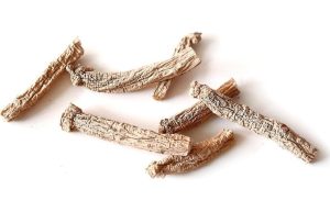 Fot. materiał prasowy reklamodawcy