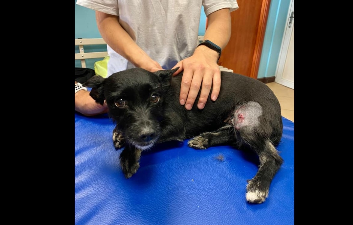 Źródło: Facebook.com/Spotted-Wadowice, Kaja Majka