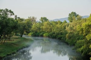 Fot. Facebook./ Bartosz Kaliński