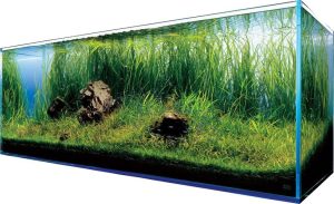 Fot. materiał prasowy reklamodawcy