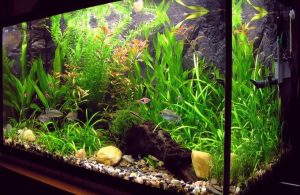 Fot. materiał prasowy reklamodawcy