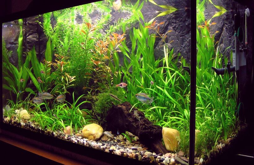 Fot. materiał prasowy reklamodawcy