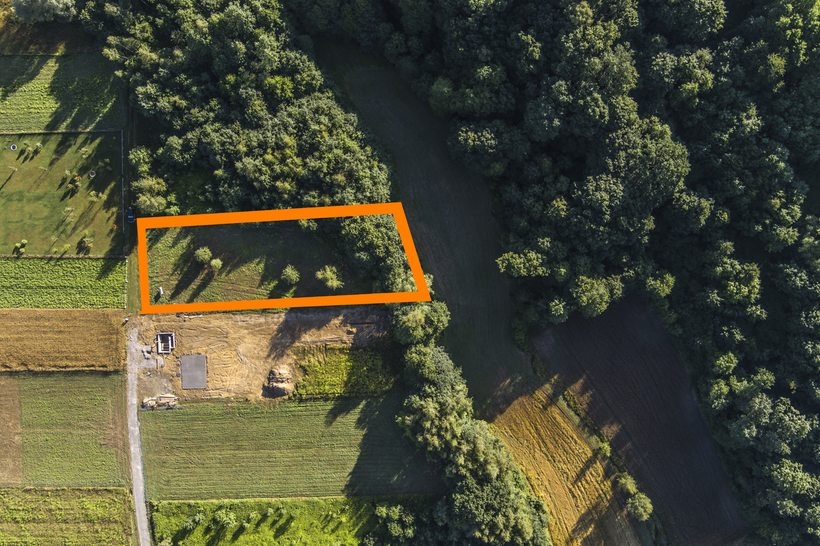 Fot. materiał prasowy reklamodawcy