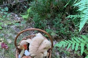 Fot. Archiwum joomla.wadowice24.promo-peak.ovh/nadesłane