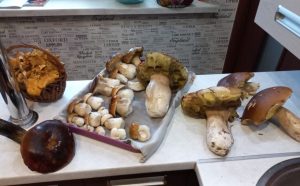 Fot. komentarze Facebook joomla.wadowice24.promo-peak.ovh