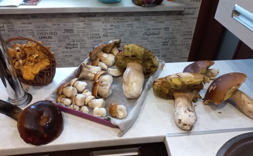 Fot. komentarze Facebook joomla.wadowice24.promo-peak.ovh