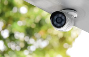 fot. materiał prasowy reklamodawcy