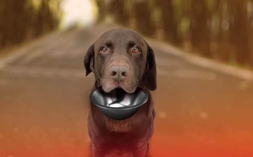 Fot. z archiwum organizatora zbiórki