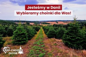 fot. materiał prasowy reklamodawcy