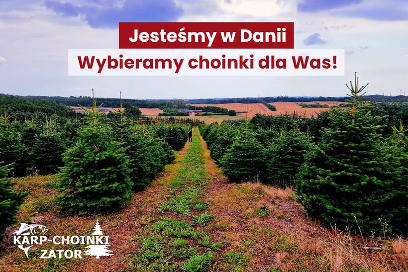 fot. materiał prasowy reklamodawcy