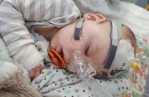 Fot. Joanna Ligęza/ Licytacje OLIWIER kontra SMA