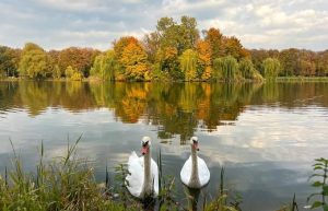 Fot. Facebook joomla.wadowice24.promo-peak.ovh/ Teresa Gierat