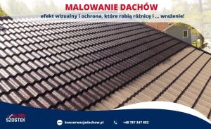 fot. materiał promocyjny reklamodawcy