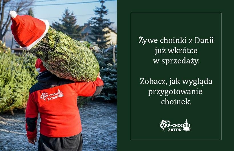 fot. materiał promocyjny reklamodawcy