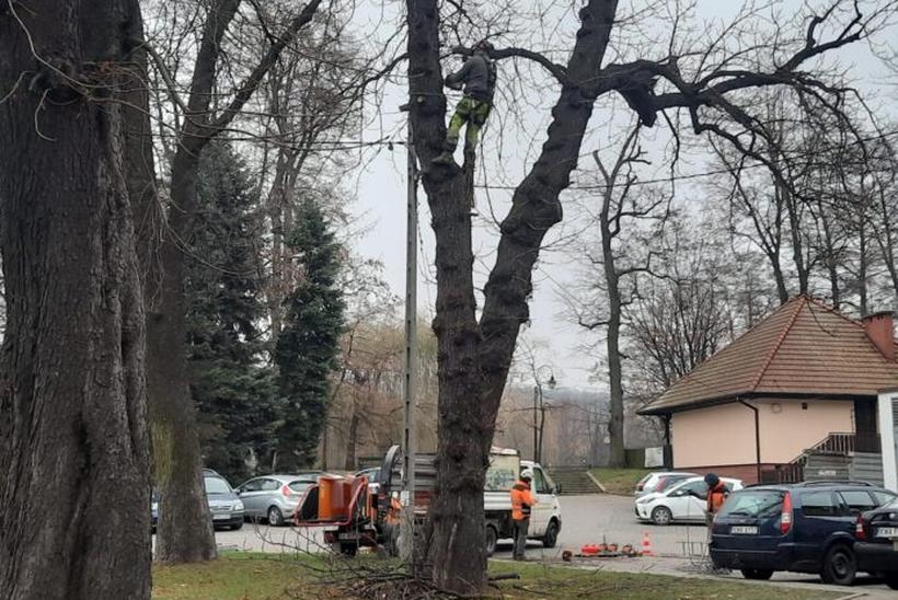 Fot. Nowiny Andrychowskie