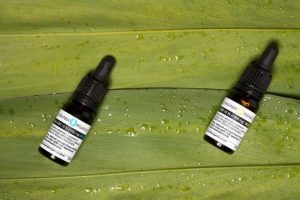 fot. materiał promocyjny reklamodawcy