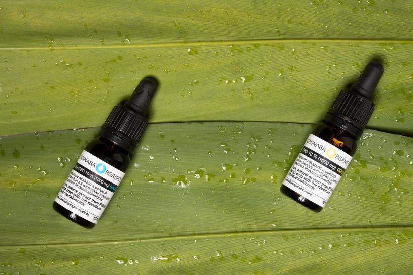 fot. materiał promocyjny reklamodawcy